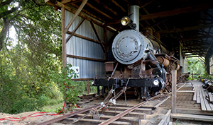 Train & Tours at Southern Forest Heritage Museum, Longleaf LA