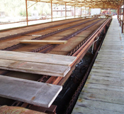 Southern Forest Heritage Museum Green Chain Lumber
