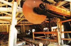 Southern Forest Heritage Museum Sawmill