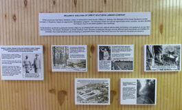 Sustainable Forestry Exhibit - Southern Forest Heritage Museum