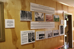 Sustainable Forestry - Southern Forest Heritage Museum