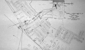 Southern Forest 1921 Mill Layout