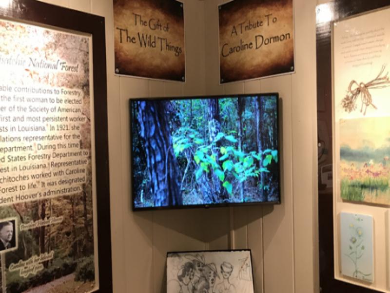 Southern Forest Heritage Museum Exhibit - Caroline Dormon