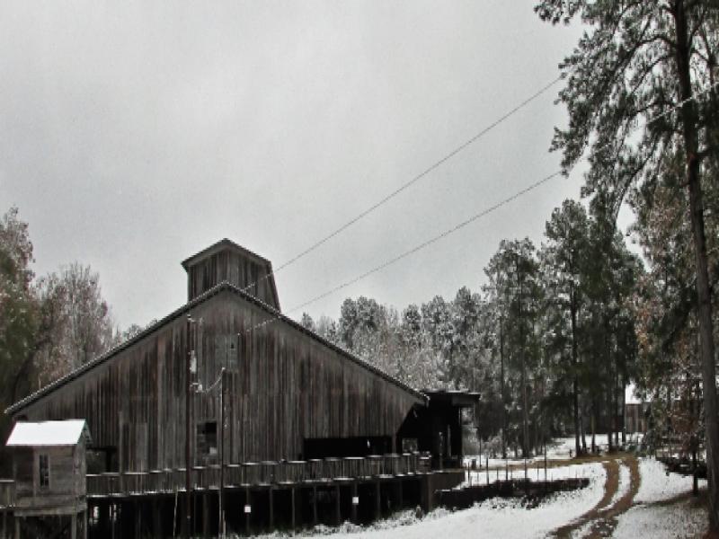 Southern Forest Planer Mill