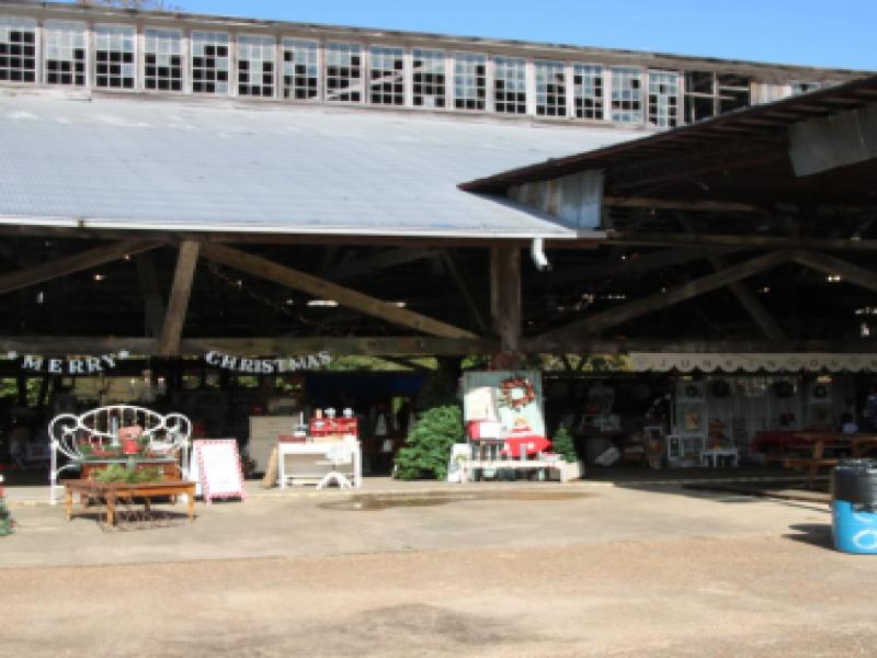 Events at the Southern Forest Heritage Museum